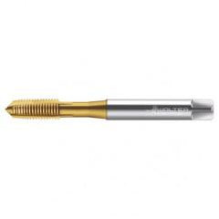 TC216-M8X1.25 6H WY80AA HS SPPT TAP - Exact Industrial Supply