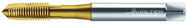 P2034005-M5 PROTOTEX XPERT P - Exact Industrial Supply