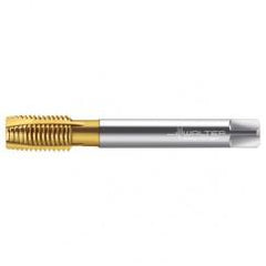 TC216-M14X2 6H WY80AA HS SP PT TAP - Exact Industrial Supply