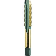 5/8-18 S/P H3 3FL B/G - Exact Industrial Supply