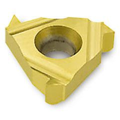 22ER3SAGE TT9030 THREADING INSERT - Exact Industrial Supply